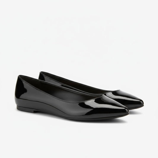 Pointed Toe Ballet Flats